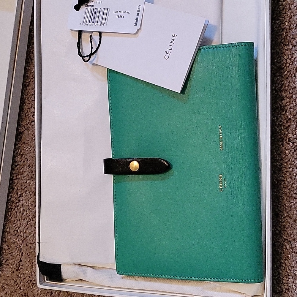 Celine Cluth Pouch in Storm Green